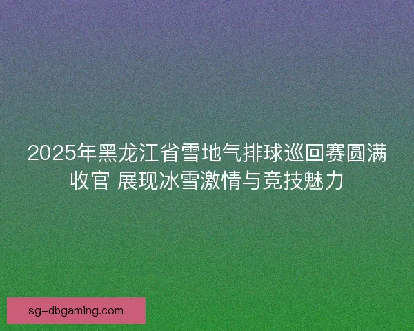 2025年黑龙江省雪地气排球巡回赛圆满收官 展现冰雪激情与竞技魅力 2025年黑龙江省雪地气排球巡回赛圆满收官 展现冰雪激情与竞技魅力