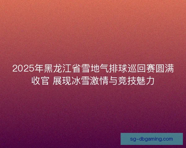 2025年黑龙江省雪地气排球巡回赛圆满收官 展现冰雪激情与竞技魅力