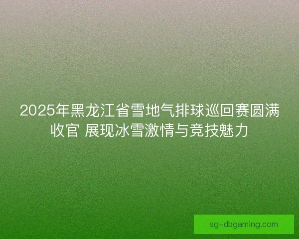 2025年黑龙江省雪地气排球巡回赛圆满收官 展现冰雪激情与竞技魅力