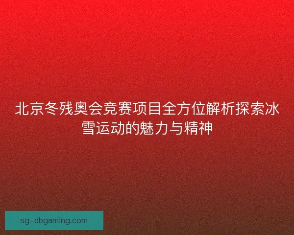 北京冬残奥会竞赛项目全方位解析探索冰雪运动的魅力与精神